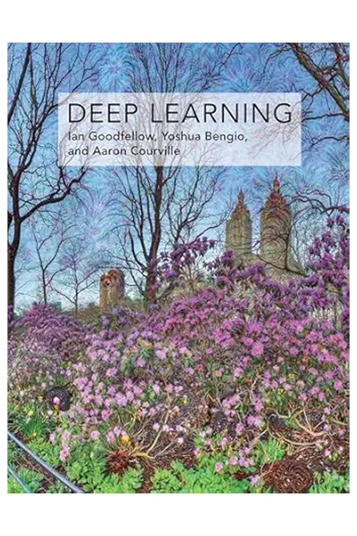 Deep Learning (Adaptive Computation and Machine Learning series)