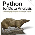 python for data analysis