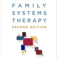 internal family system
