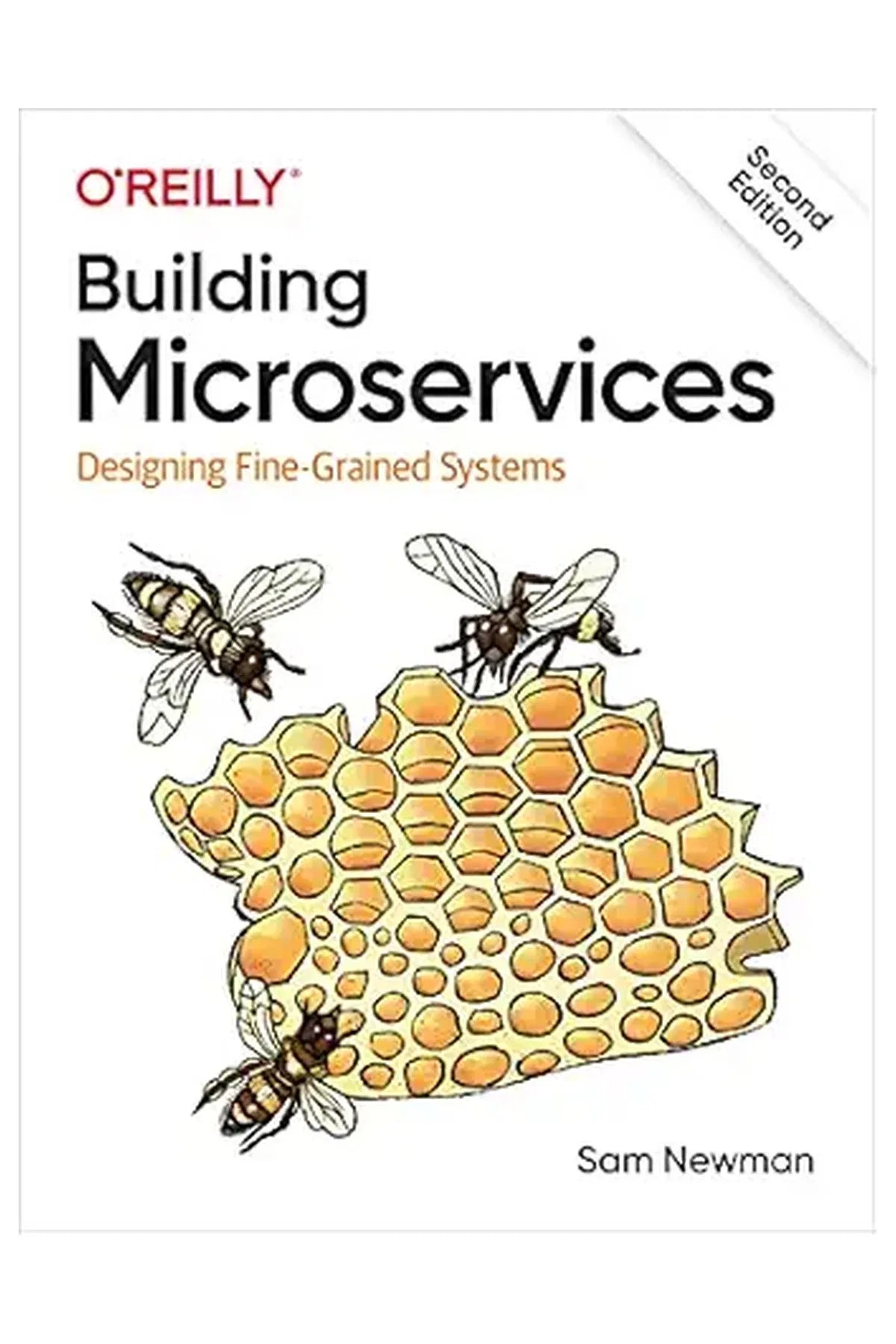 Building Microservices: Designing Fine-Grained Systems (Paperback)