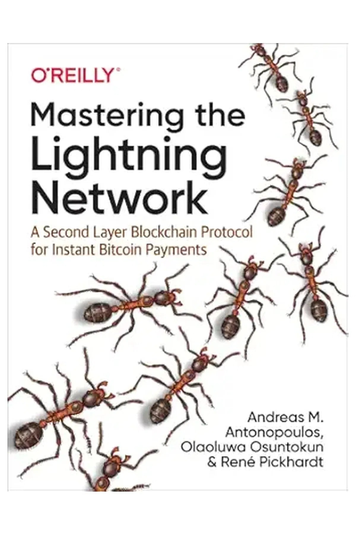 Mastering the Lightning Network: A Second Layer Blockchain Protocol for Instant Bitcoin Payments (Paperback)